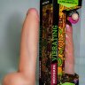 Вибратор реалистичной формы HUMAN FORM - 20,5 см.